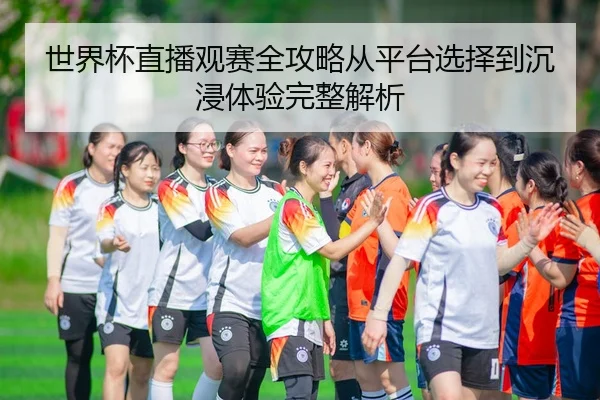 世界杯直播观赛全攻略从平台选择到沉浸体验完整解析