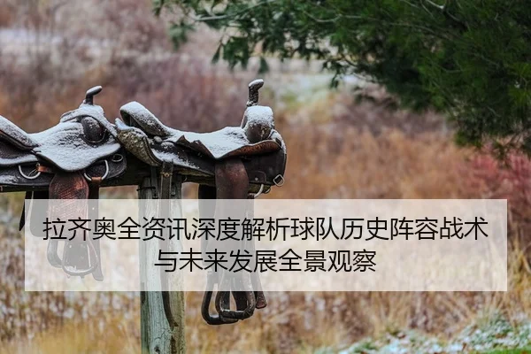 la-qi-ao-quan-zi-xun-shen-du-jie-xi-qiu-dui-li-shi-zhen-rong-zhan-shu-yu-wei-lai-fa-zhan-quan-jing-guan-cha-2-697.jpg
