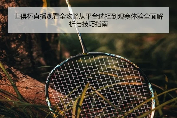 世俱杯直播观看全攻略从平台选择到观赛体验全面解析与技巧指南